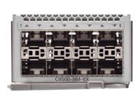 Cisco Catalyst 9500 Series Network Module - Erweiterungsmodul 